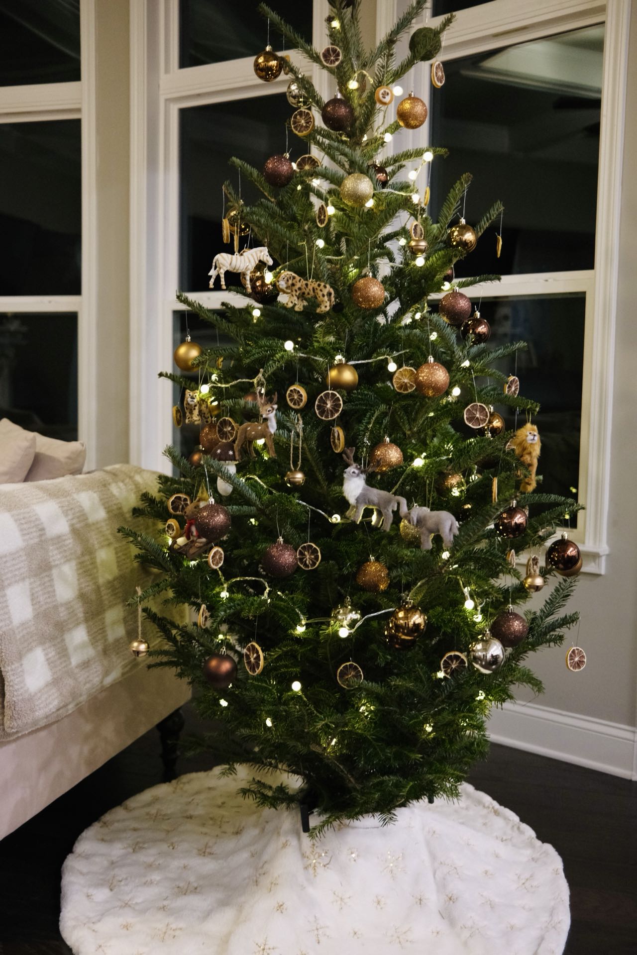 Thompson's Tree Farm (open seasonal only)