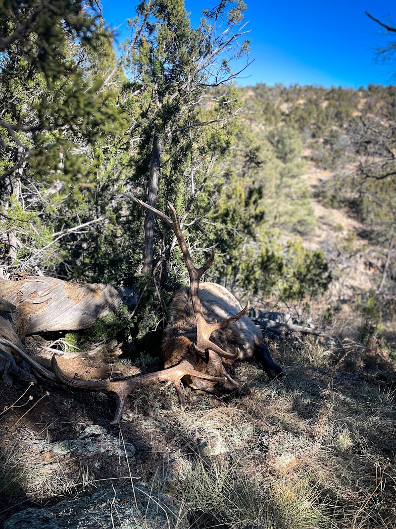 Shadow Valley Outfitters - Photo 3