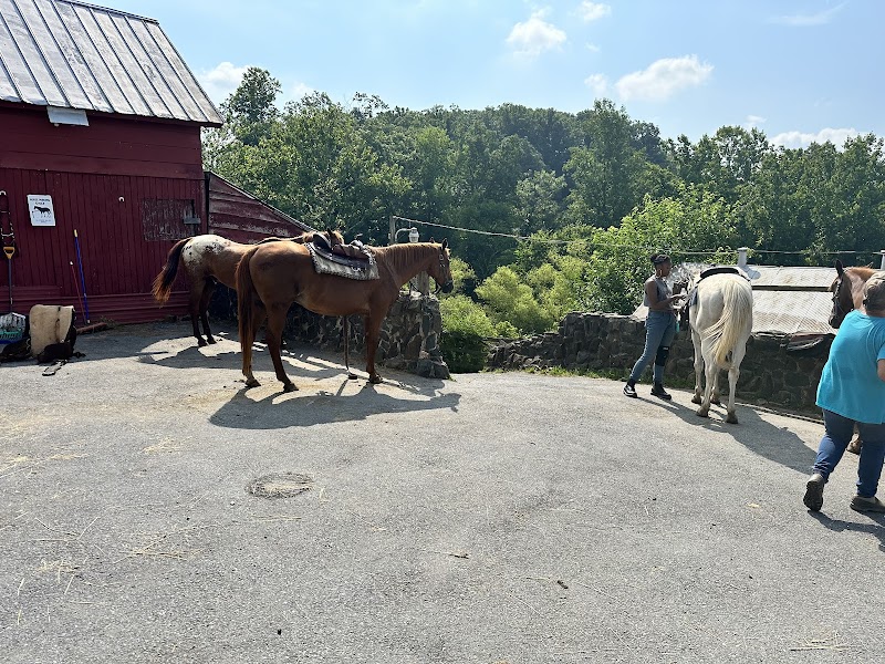 City Ranch, Inc - Photo 1