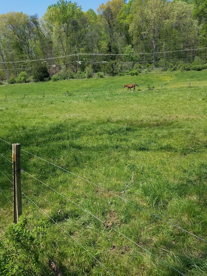 City Ranch, Inc - Photo 5