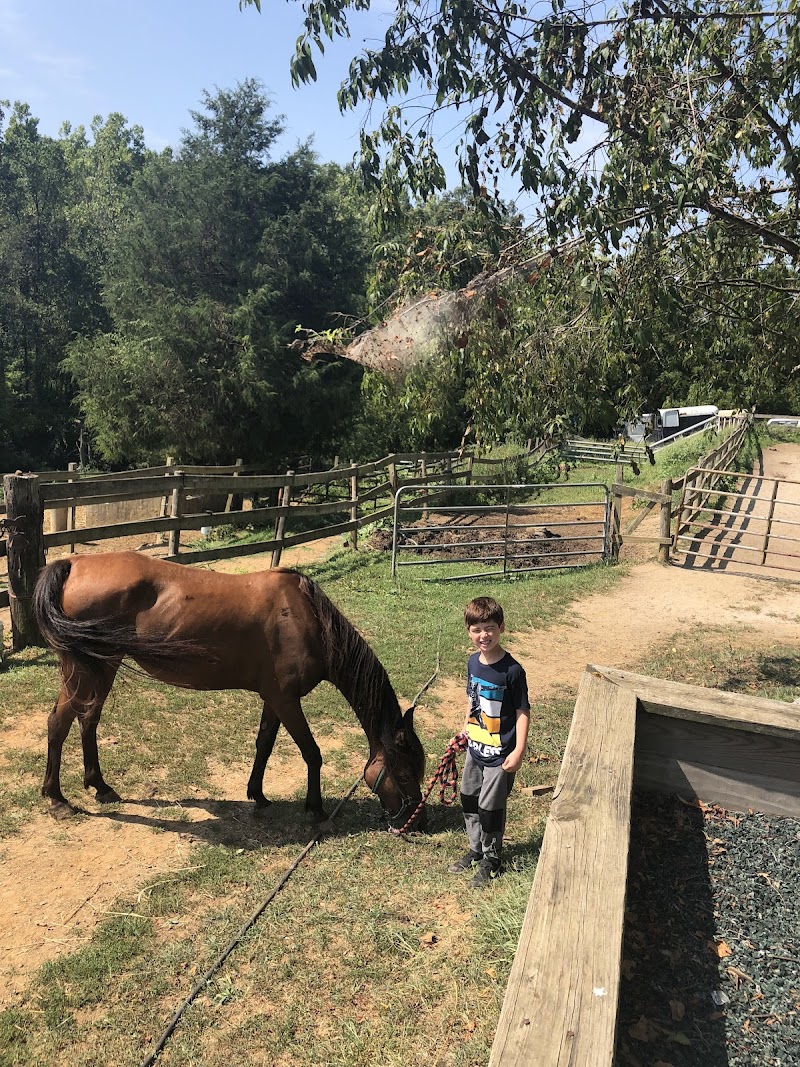City Ranch, Inc - Photo 2
