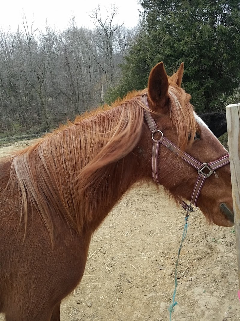 City Ranch, Inc - Photo 3
