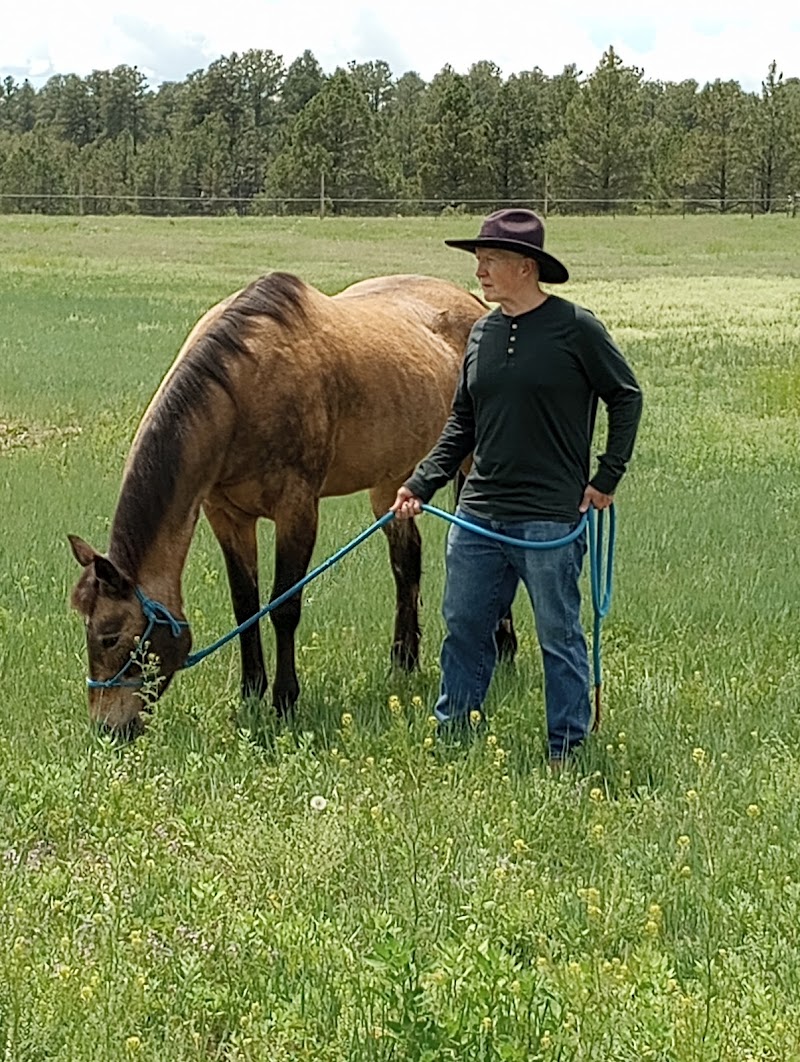 Eagle's Nest Ranch - Photo 1