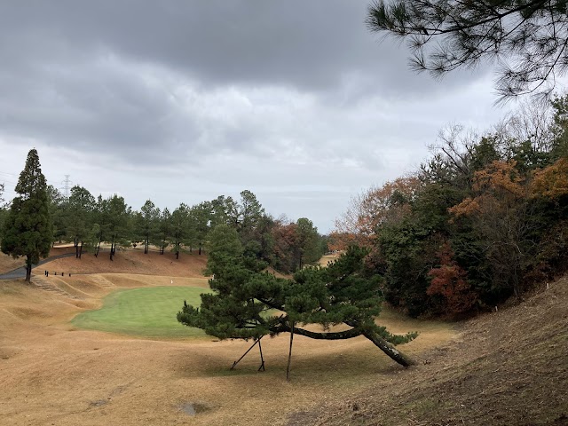 Amanosan Public Golf Course - Photo 10