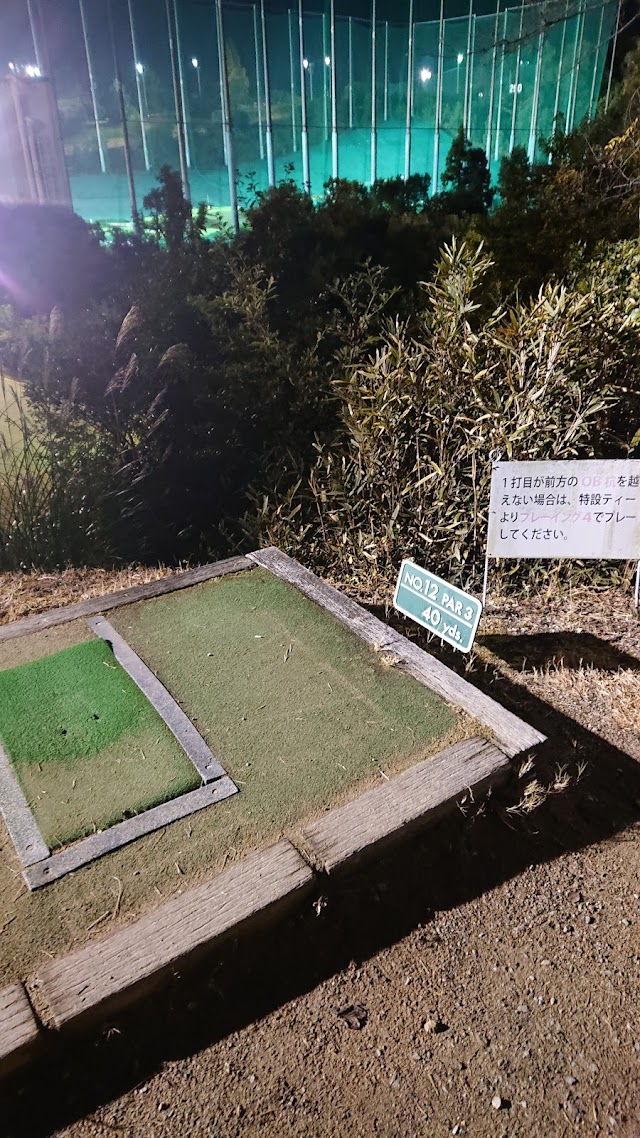 Amanosan Public Golf Course - Photo 8