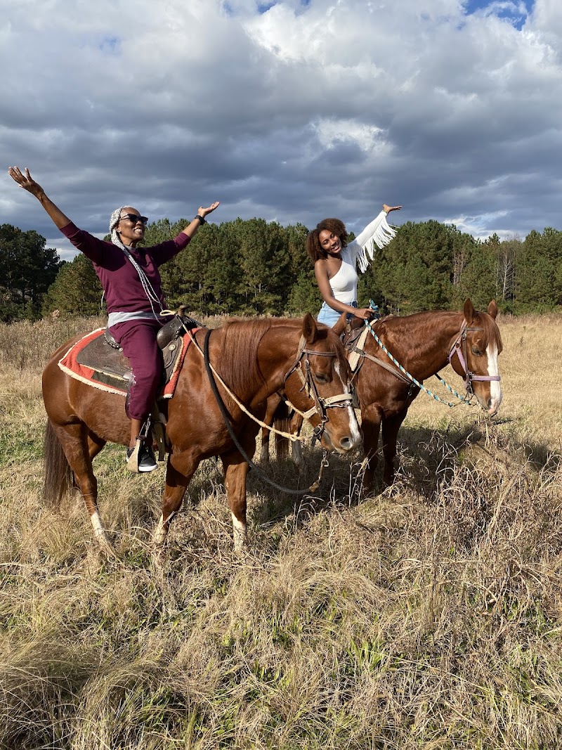 JDs Horseback Riding - Photo 4