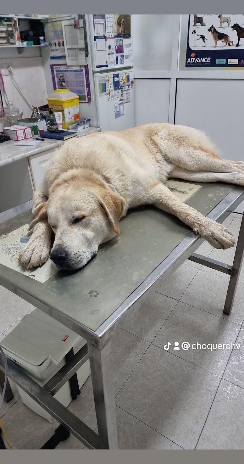 Clínica Veterinaria San Sebastián