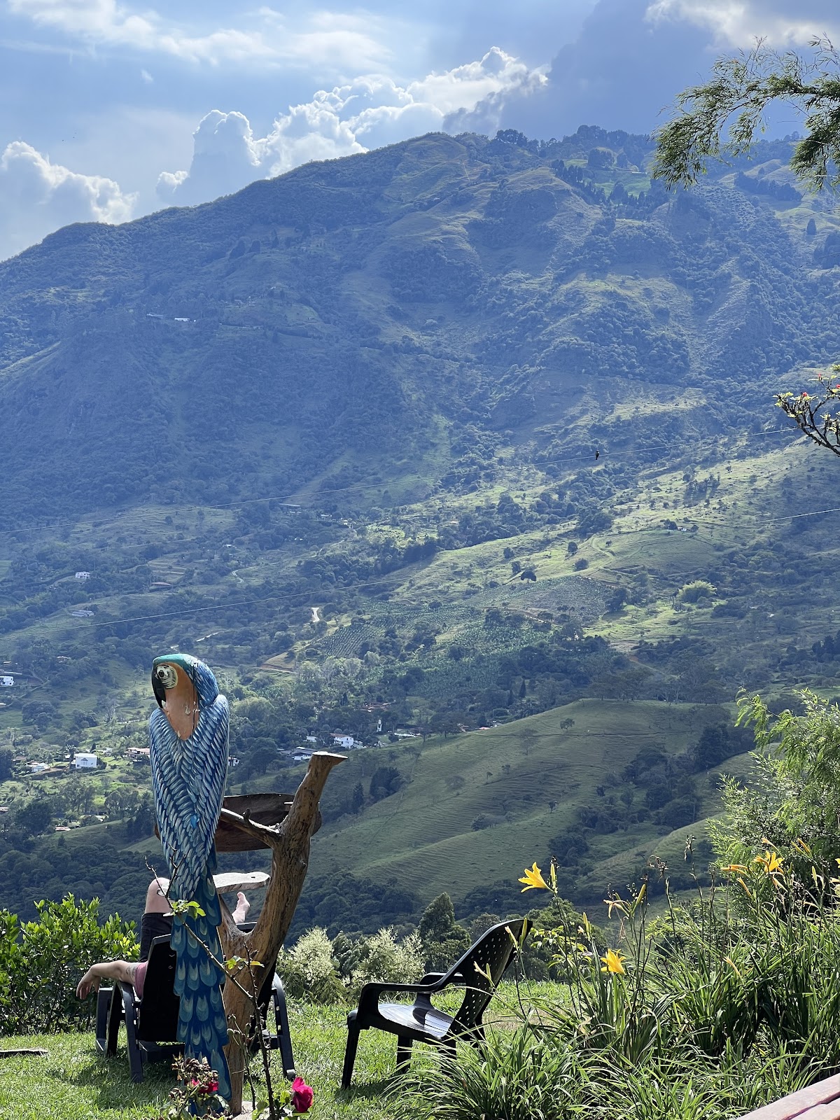 Harmonica Ayahuasca Retreat Colombia (formerly Guacamayo) — 4
