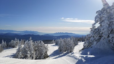 Shiga Kogen Shibutoge Ski Area - 5