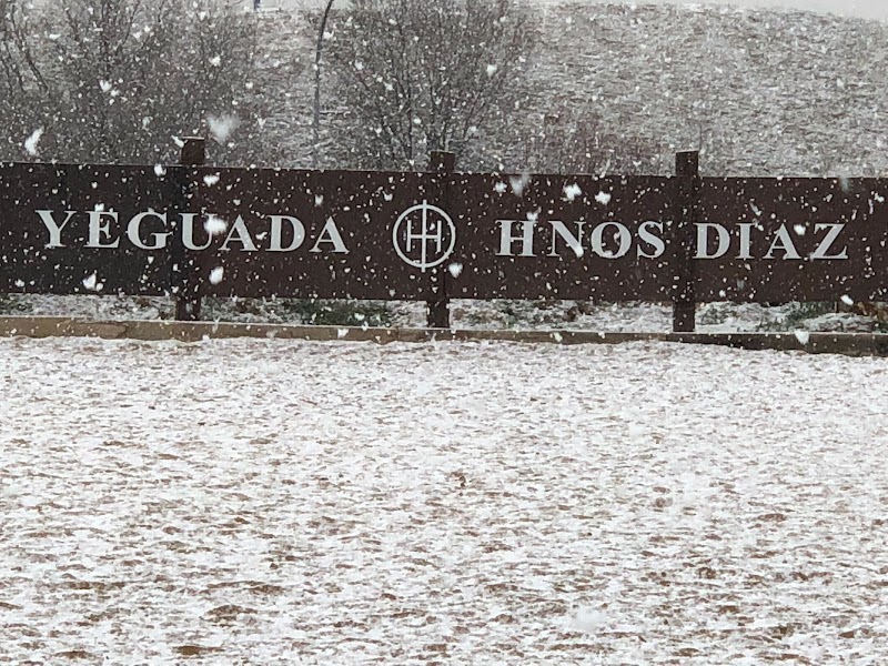 Hipica Yeguada Hermanos Diaz