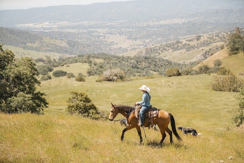 V6 Ranch - Photo 3