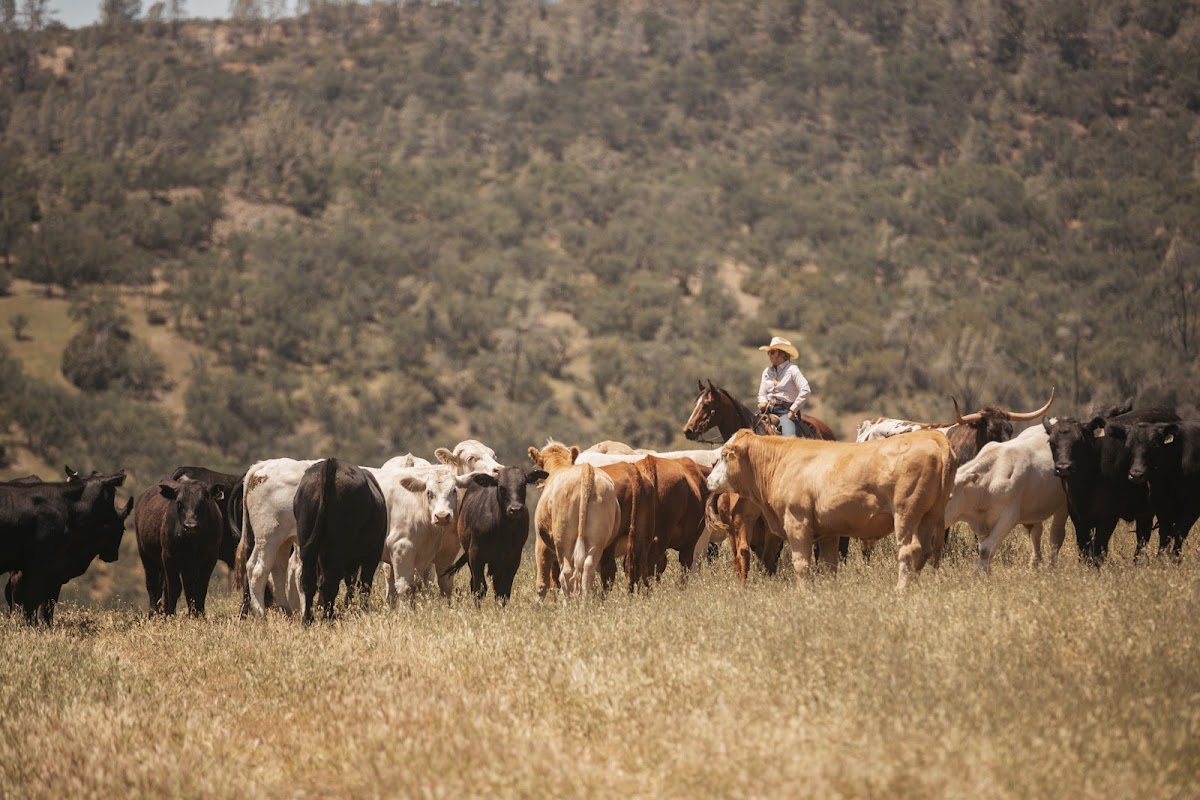 V6 Ranch