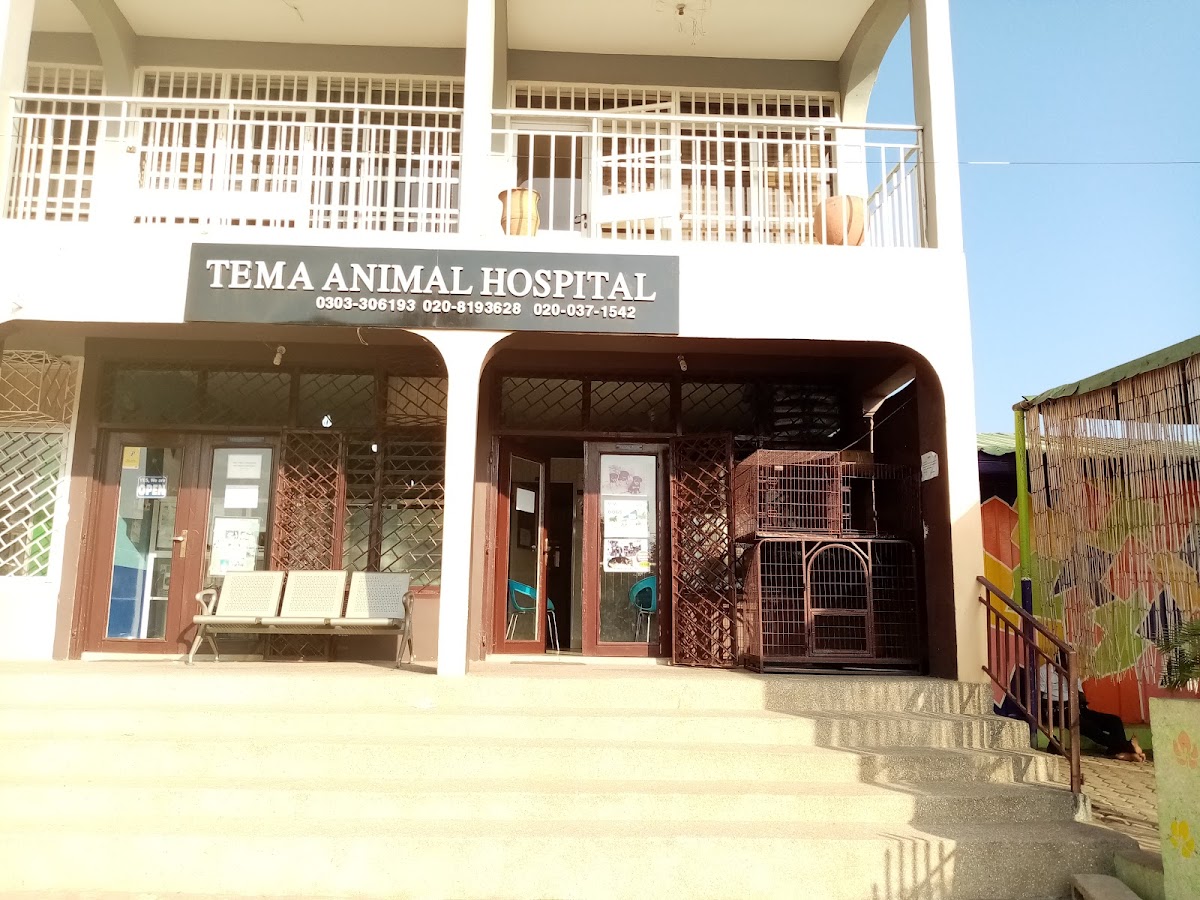 Tema Animal Hospital