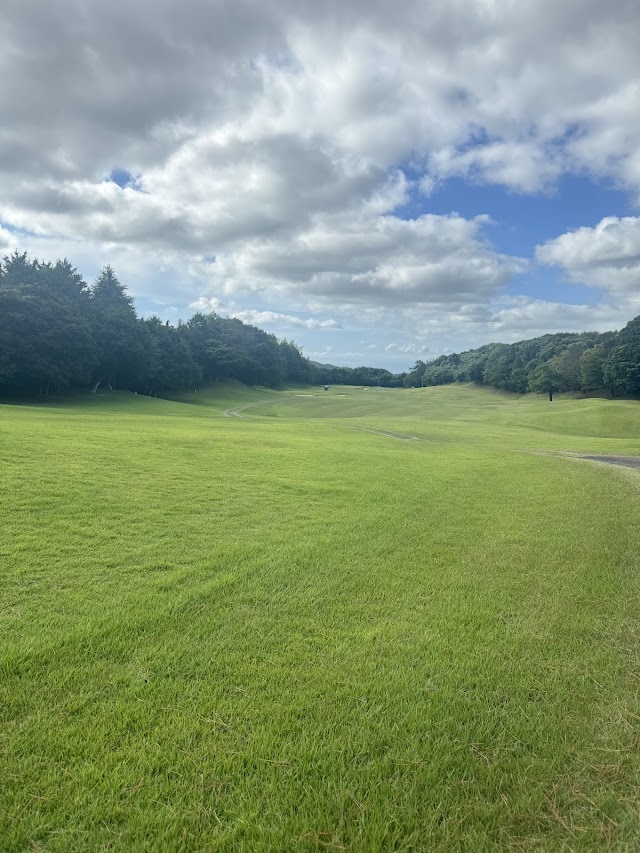 Asa Golf Club - Photo 4