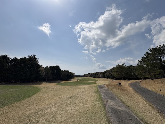 Asa Golf Club - Photo 9