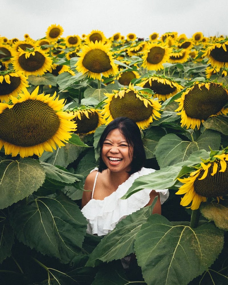 Campbell's Cross Farm photo 1