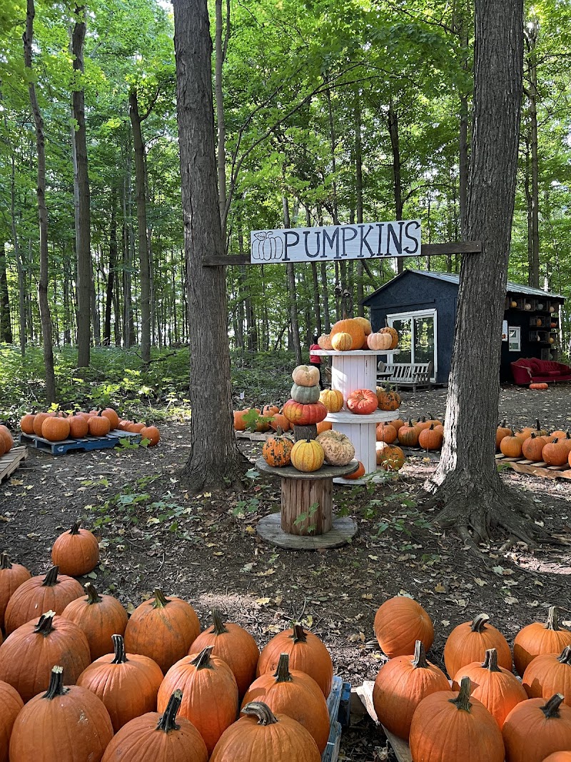 Campbell's Cross Farm photo 3