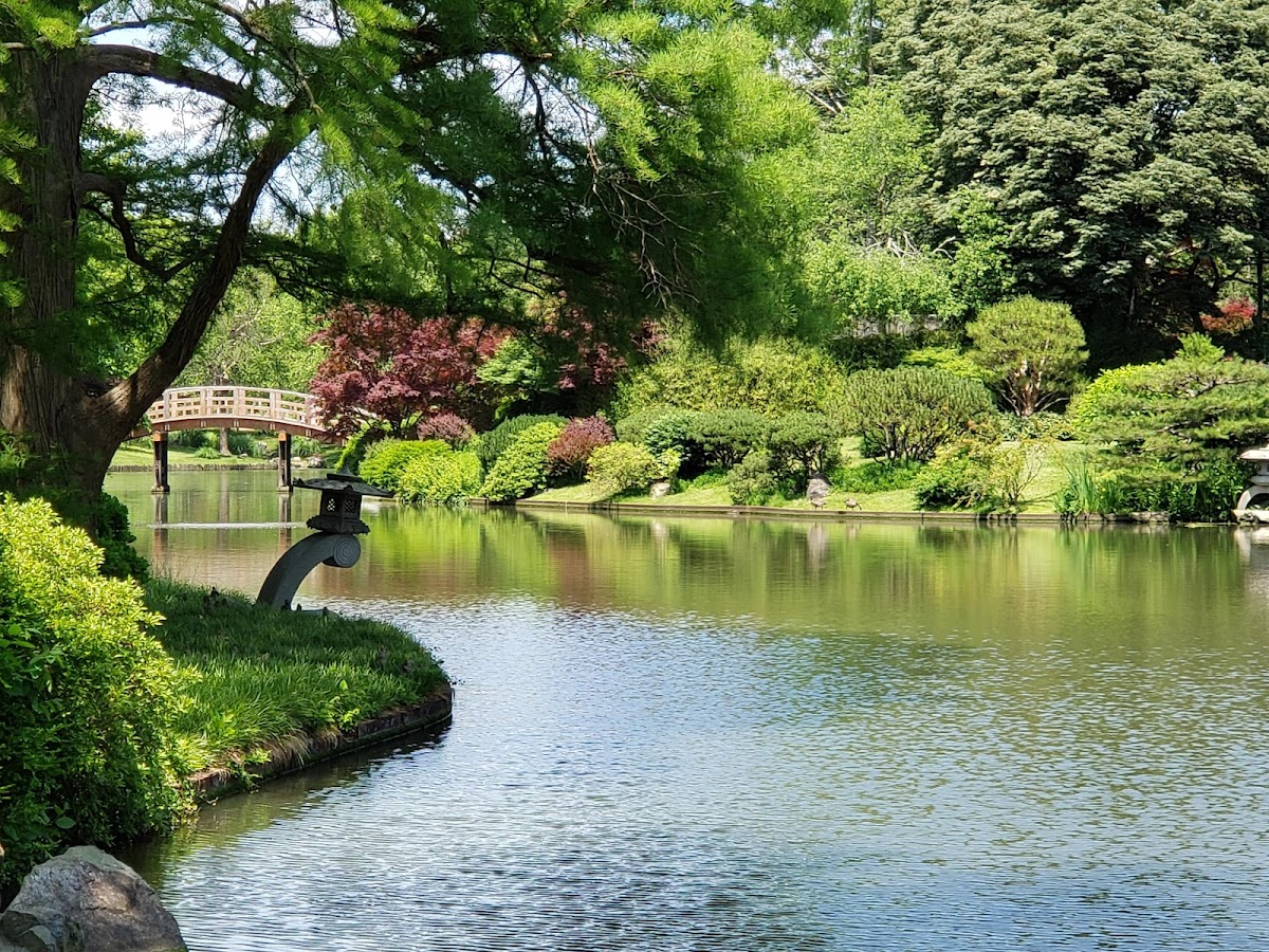 Missouri Botanical Garden photo 3