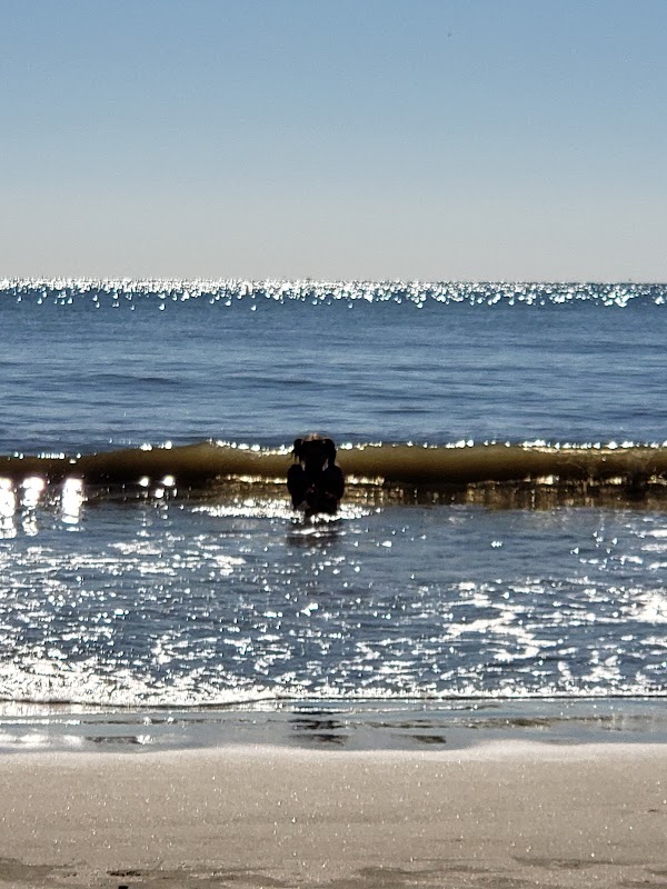 Station 21 - Public Beach Access, Sullivan's Island photo 3