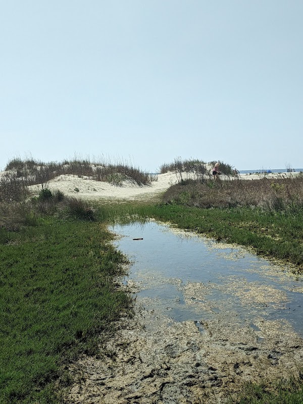 Station 21 - Public Beach Access, Sullivan's Island photo 4