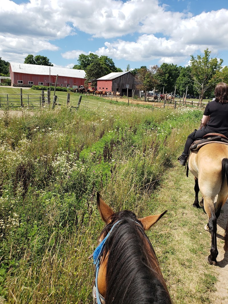 Double R Ranch - Photo 2