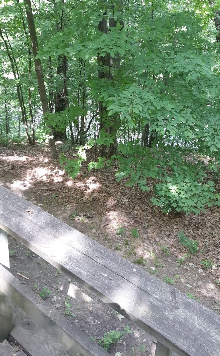 Double R Ranch - Photo 5