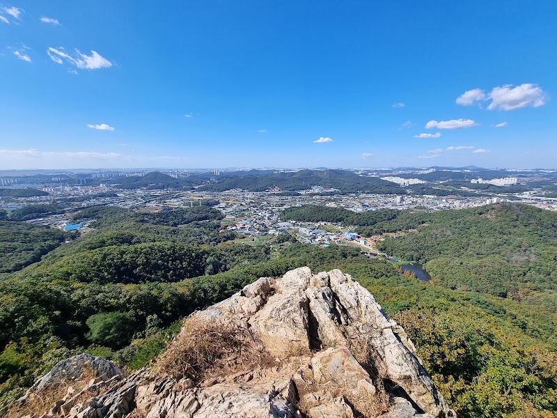 너구리산 사진 6