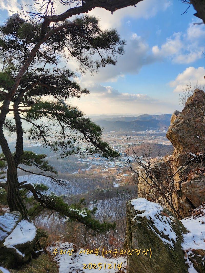 너구리산 사진 5