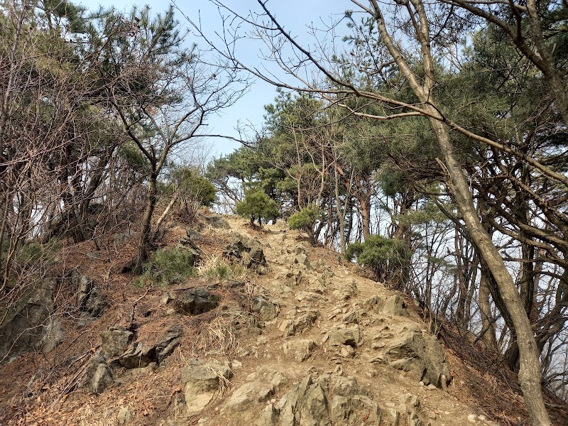 너구리산 사진 4