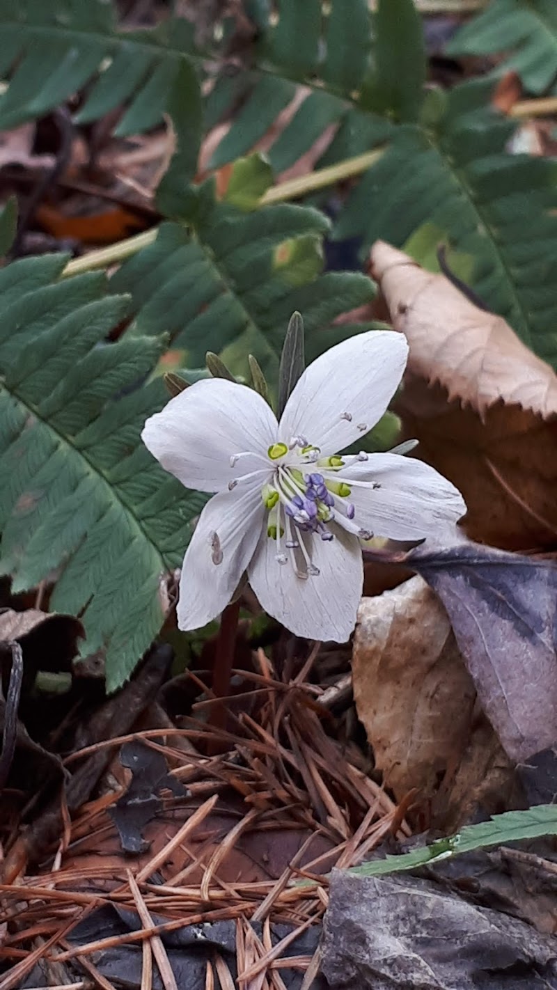 너구리산 사진 8