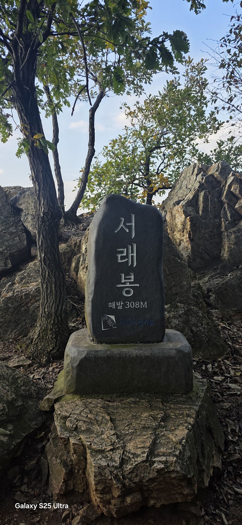 너구리산 사진 7