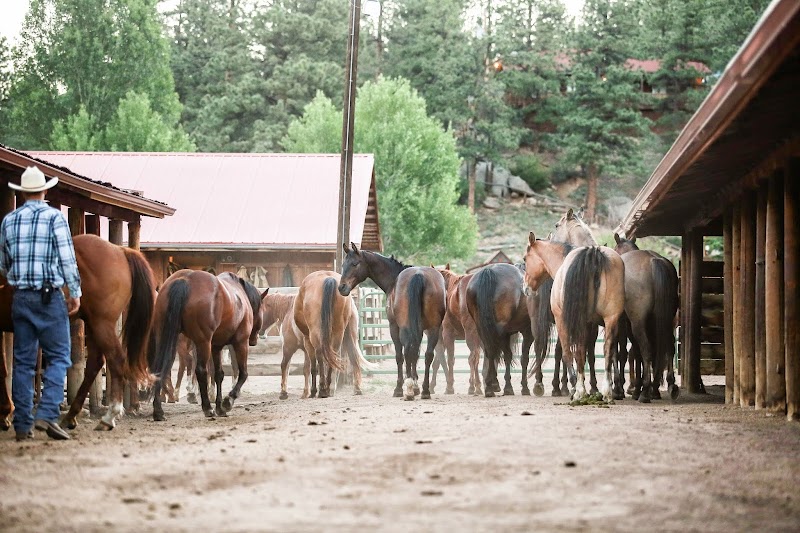 Lost Valley Ranch - Photo 3