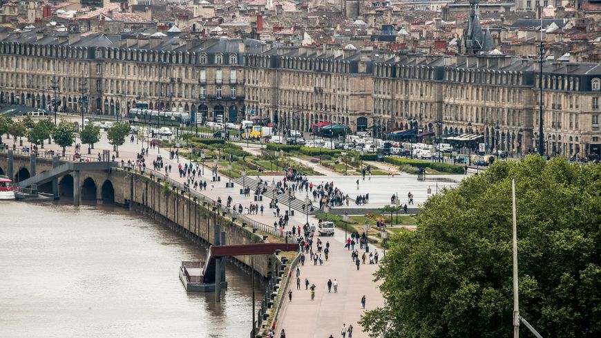 Best Dog-Friendly Hotels in Bordeaux, France