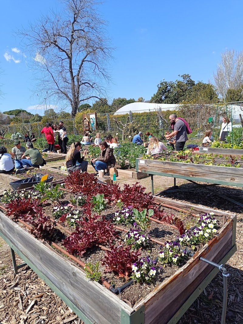 El Huerto del Retiro