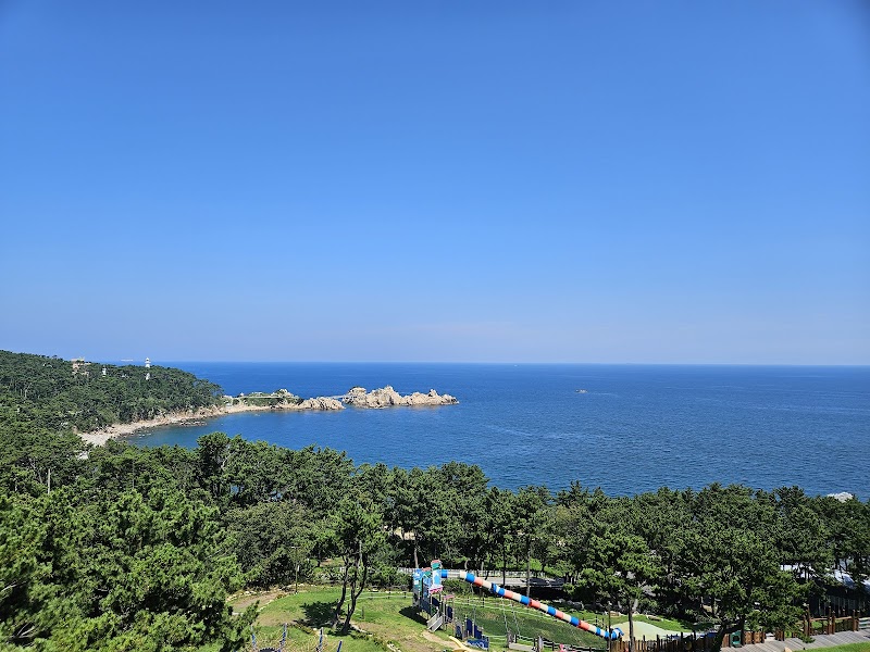 울산시립어린이테마파크 사진 4