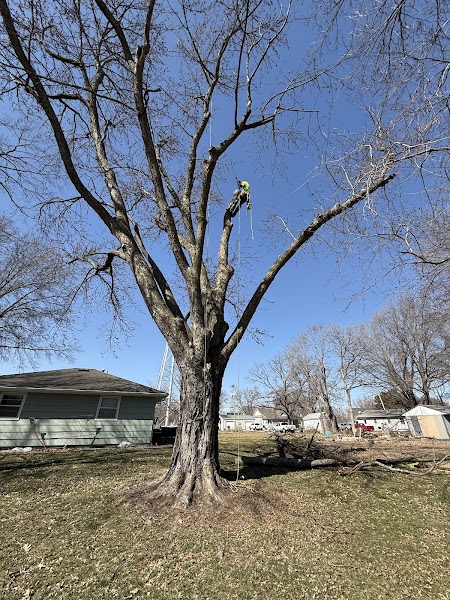 KC Tree Works LLC