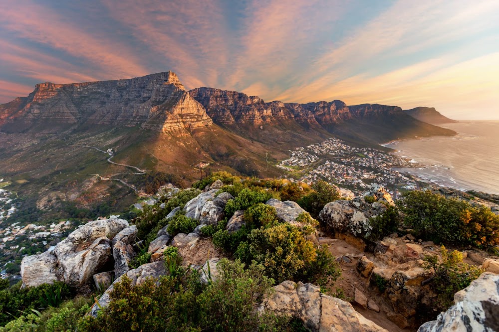 Table Mountain National Park fotoğraf 1