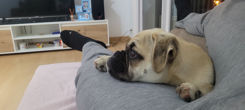 Clínica Veterinària Banyoles SLP