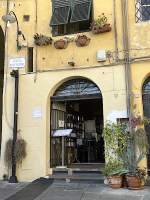 Sottosotto Lucca