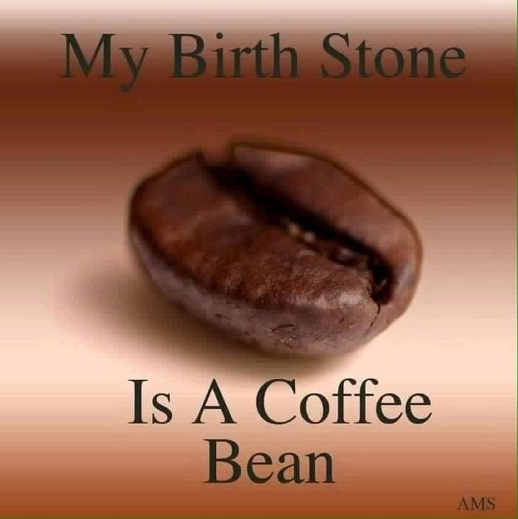 Sadie's Coffee Corner photo 2