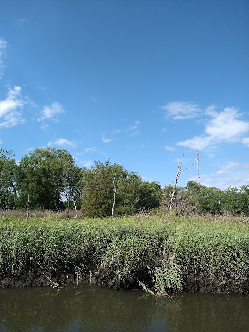 Four Poles Park photo 4