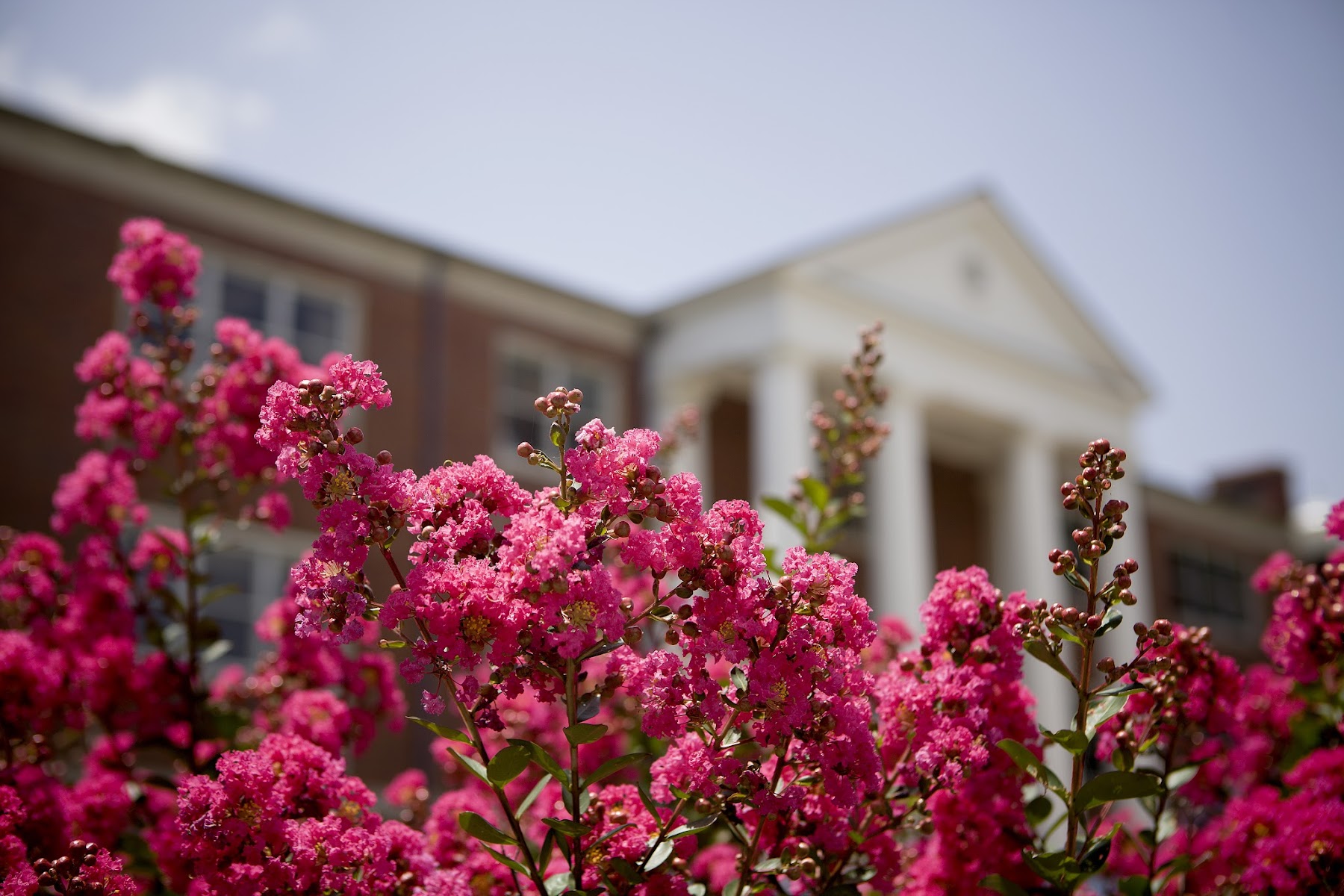 テネシー大学マーティン校（The University of Tennessee-Martin）（Martin、テネシー州）