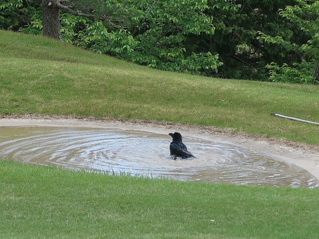 Fujieda Golf Club - Photo 4