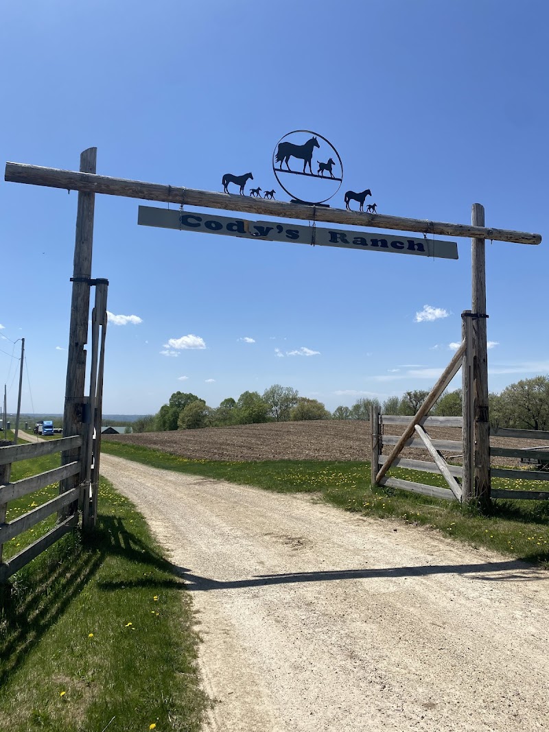 Cody's Ranch - Photo 4