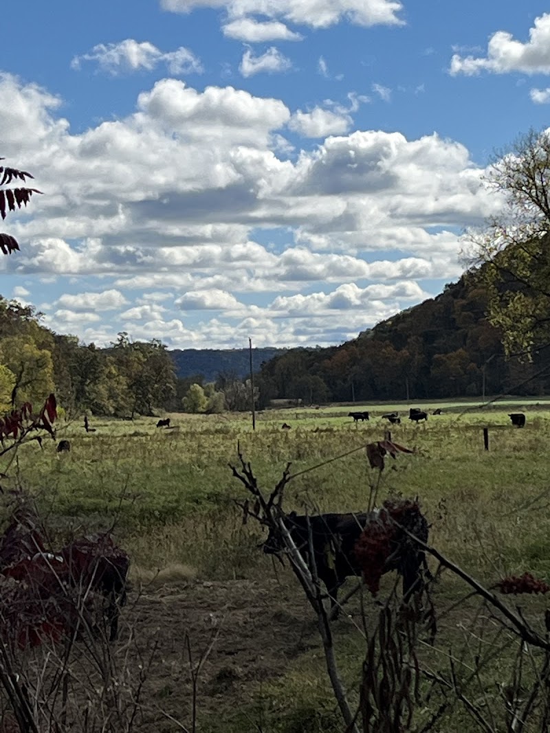 Cody's Ranch - Photo 6