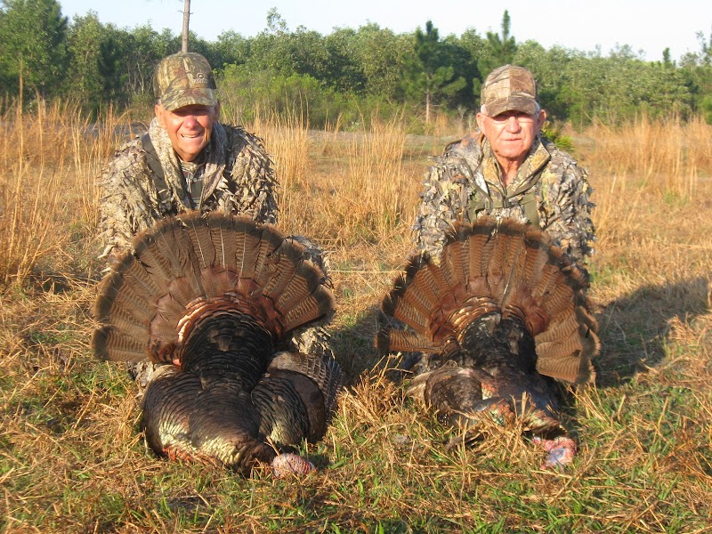 Everglades Hunting Lodge - Photo 1