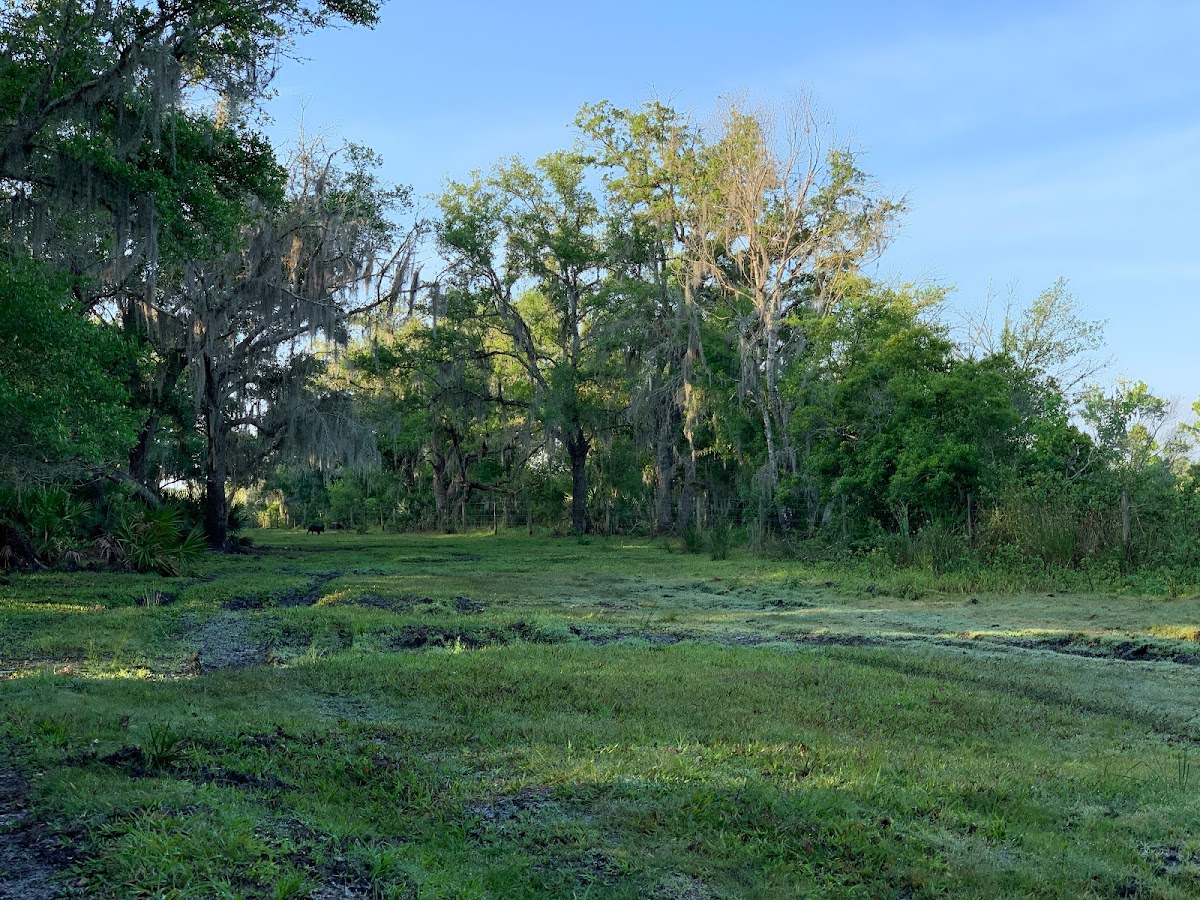 Everglades Hunting Lodge