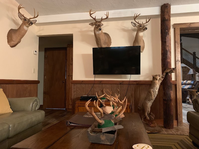 Everglades Hunting Lodge - Photo 6