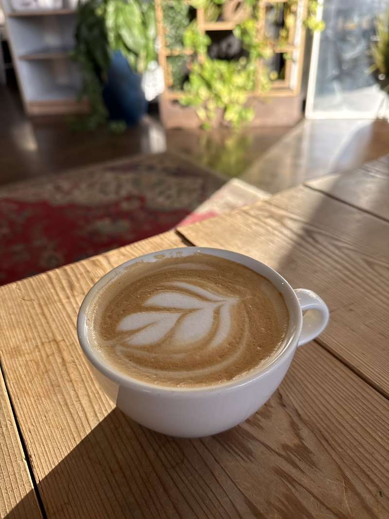 Dr Bean's Coffee & Tea Emporium photo 4