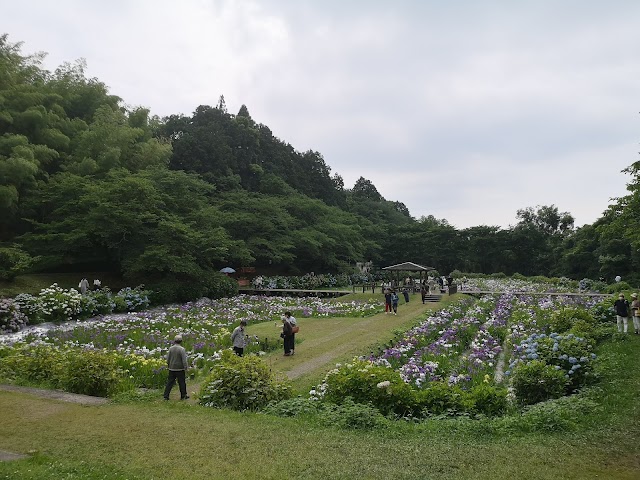 Niihama Country Club - Photo 10